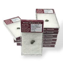 Mars Meteorite Amgala 001 .57-.59  Grams