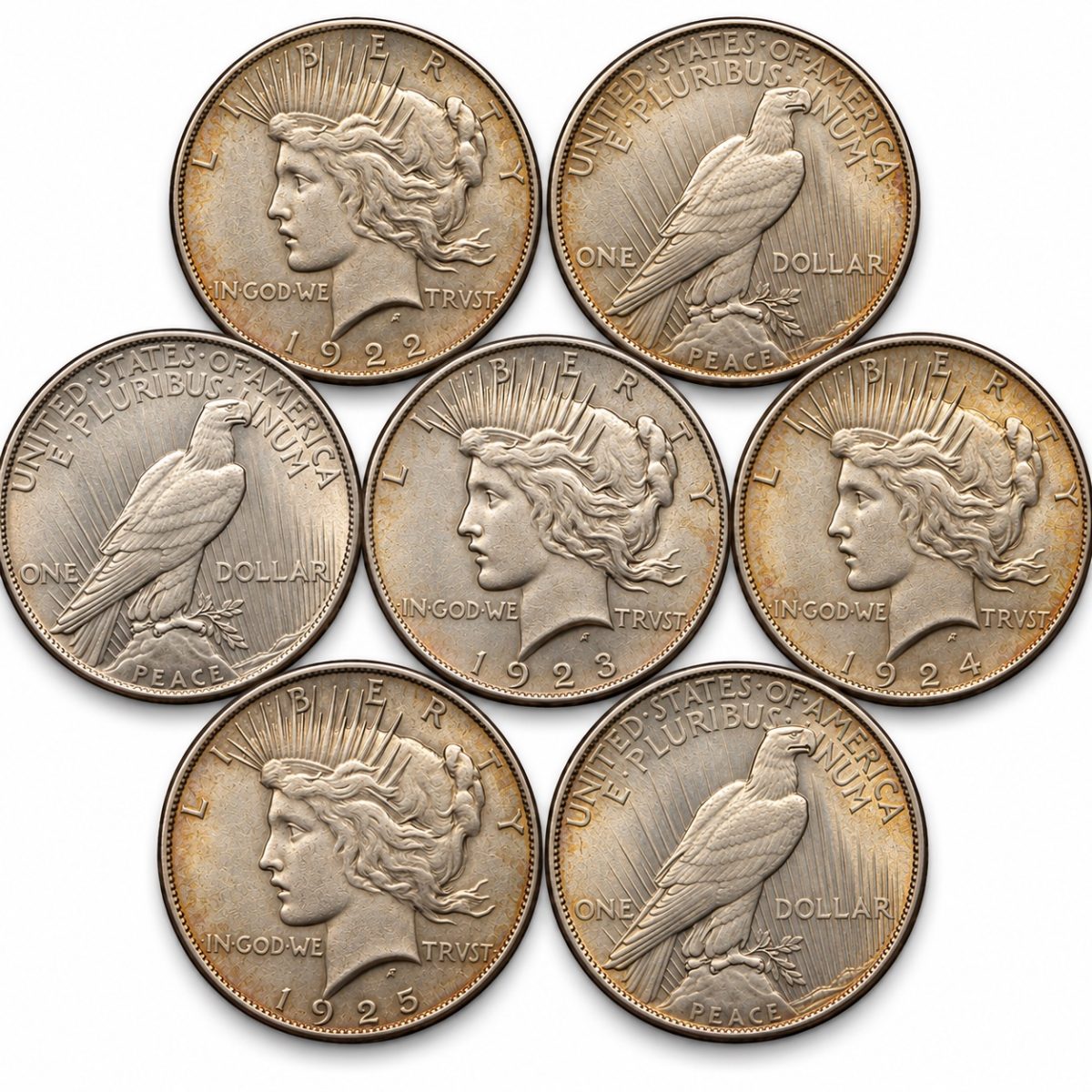 Peace Dollar Common XF/AU (Orange Dot) +4